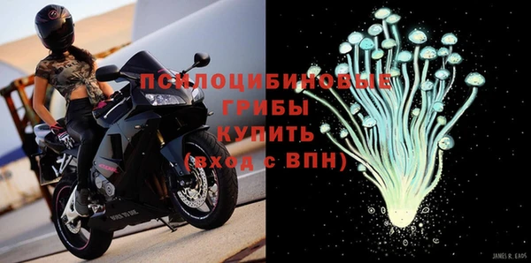 ПСИЛОЦИБИНОВЫЕ ГРИБЫ Волоколамск